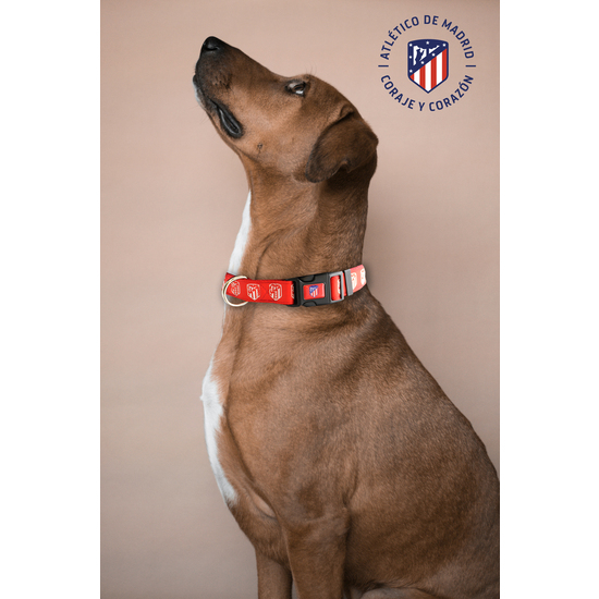 ATLÉTICO DE MADRID COLLAR PARA PERRO  TALLA S image 4