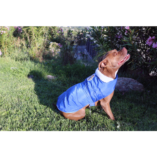 REAL MADRID ABRIGO IMPERMEABLE PARA PERRO  TALLA S image 3