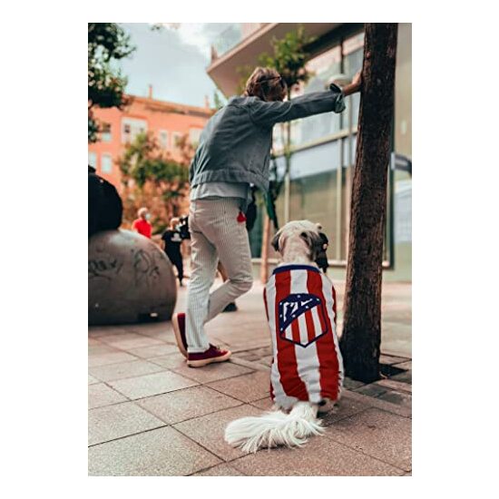 ATLÉTICO DE MADRID CAMISETA PARA PERRO  TALLA XXL image 5
