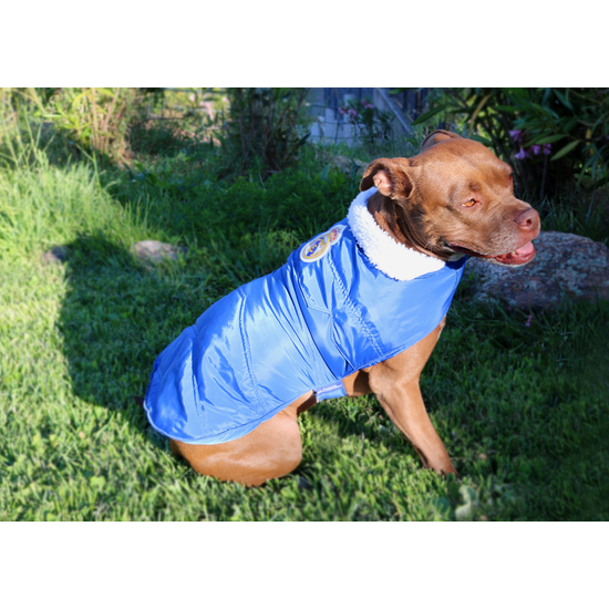REAL MADRID ABRIGO IMPERMEABLE PARA PERRO  TALLA XS image 4