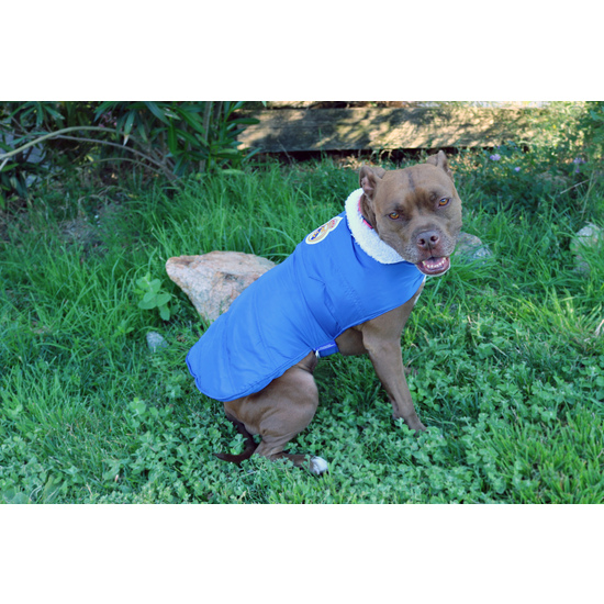 REAL MADRID ABRIGO IMPERMEABLE PARA PERRO  TALLA XS image 5