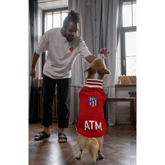 ATLÉTICO DE MADRID SUDADERA PARA PERRO  TALLA XS image 2