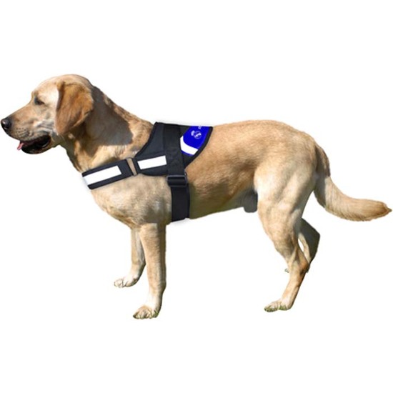 REAL MADRID ARNÉS REFORZADO CON RELLENO PARA PERRO TALLA S image 1