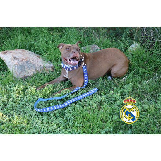 REAL MADRID COLLAR PARA PERRO TALLA L image 3