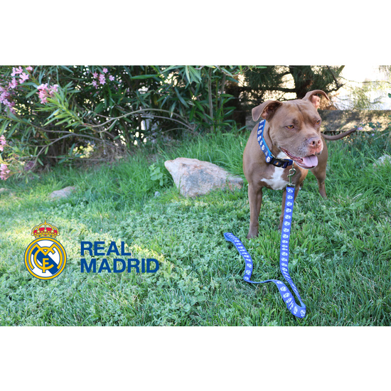 REAL MADRID COLLAR PARA PERRO TALLA L image 4