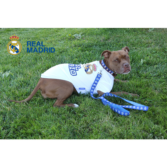 REAL MADRID COLLAR PARA PERRO TALLA L image 5