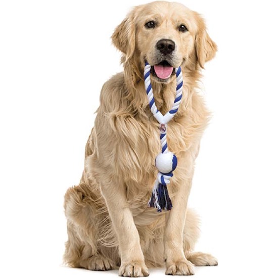 REAL MADRID JUGUETE CON PELOTA PARA PERRO image 1