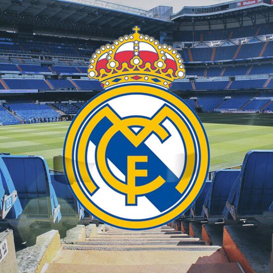 REAL MADRID SUDADERA PARA PERRO  TALLA S image 4