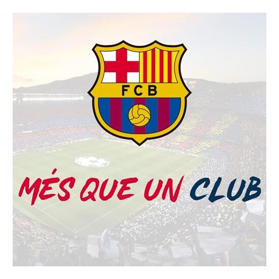 FCBARCELONA PORTADOCUMENTOS image 3