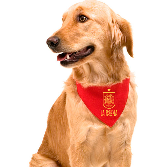 COLLAR PARA PERRO - TALLA S - SELECCIÓN ESPAÑOLA image 2