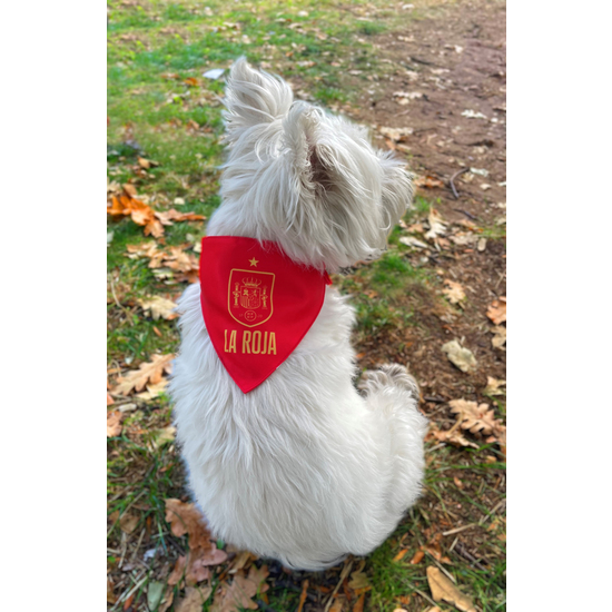 COLLAR PARA PERRO - TALLA S - SELECCIÓN ESPAÑOLA image 4