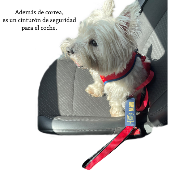 CORREA PARA PERRO - TALLA L - SELECCIÓN ESPAÑOLA image 6