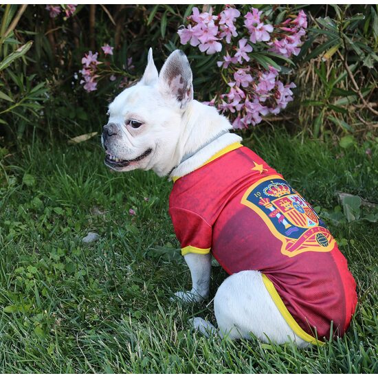 CAMISETA PARA PERRO - TALLA XS - SELECCIÓN ESPAÑOLA image 4