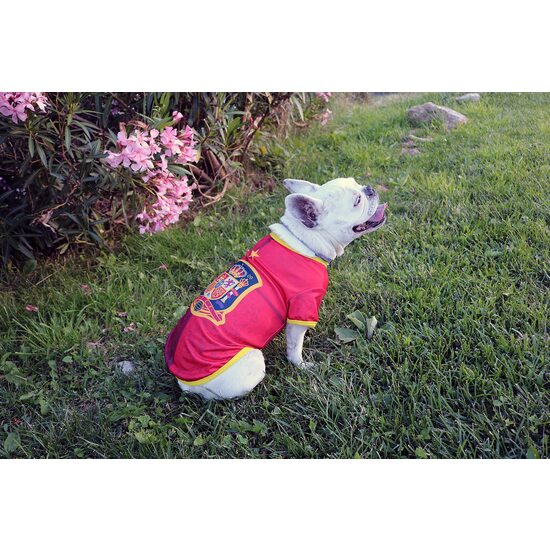 CAMISETA PARA PERRO - TALLA XS - SELECCIÓN ESPAÑOLA image 5