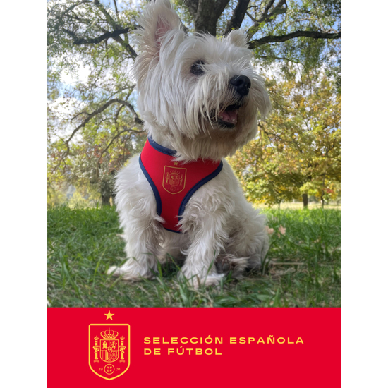 ARNÉS PARA PERRO - TALLA L - SELECCIÓN ESPAÑOLA image 5