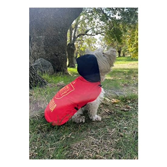 CHUBASQUERO PARA PERRO - TALLA L - SELECCIÓN ESPAÑOLA image 4