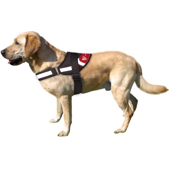 SEVILLA ARNÉS REFORZADO CON RELLENO PARA PERRO TALLA SM image 1