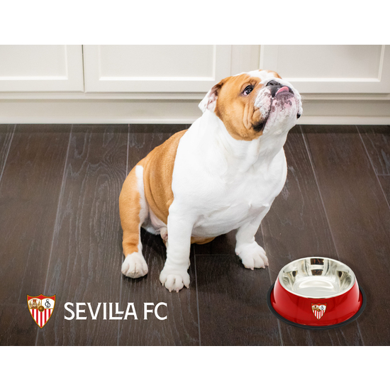 SEVILLA COMEDEROBEBEDERO  22 CM DIÁMETRO image 2
