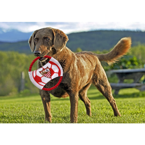 SEVILLA JUGUETE DE CUERDA PARA PERRO image 2