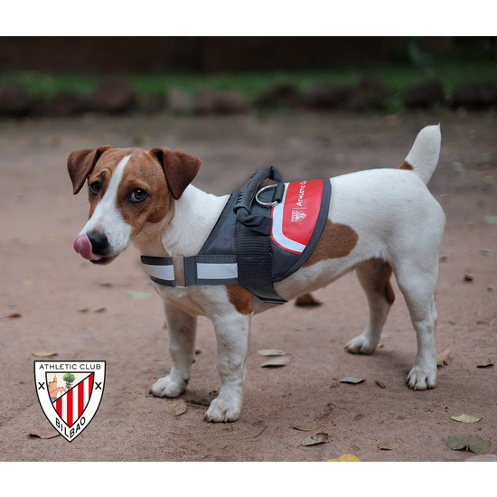 ATHLETIC CLUB ARNÉS REFORZADO CON RELLENO PARA PERROTALLA L ATHLETIC image 4