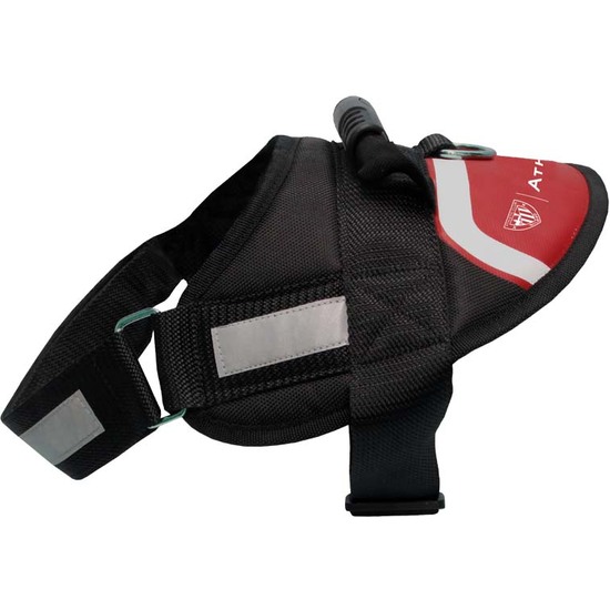 ATHLETIC CLUB ARNÉS REFORZADO CON RELLENO PARA PERRO TALLA SM ATHLETIC image 2