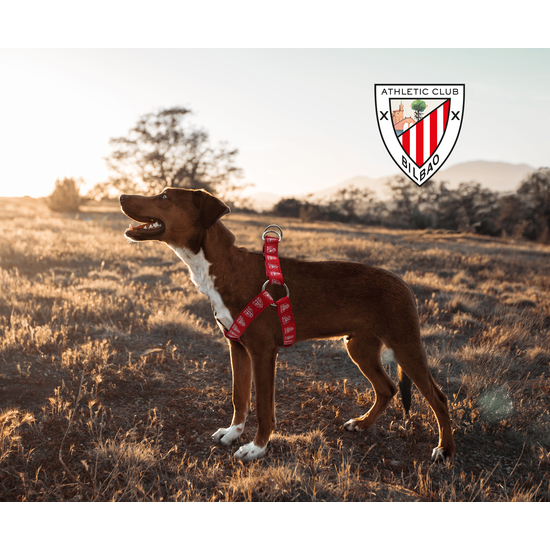 ATHLETIC CLUB ARNÉS PARA PERROTALLA M image 4