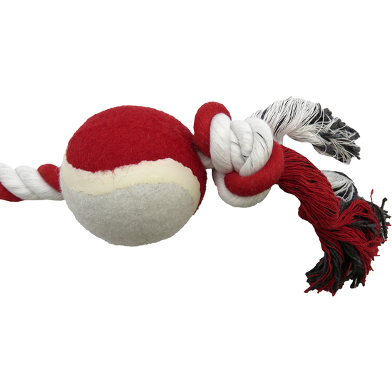 ATHLETIC CLUB JUGUETE CON PELOTA PARA PERRO image 4