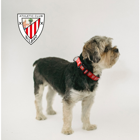 ATHLETIC CLUB COLLAR PARA PERRO TALLA L image 3