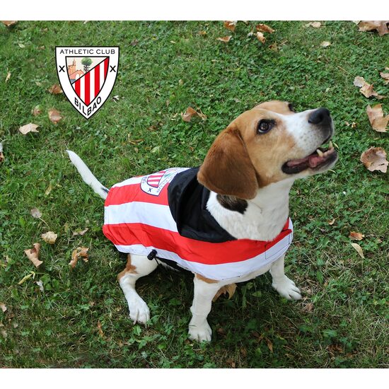 ATHLETIC CLUB CHUBASQUERO PARA PERROS TALLA XS image 5
