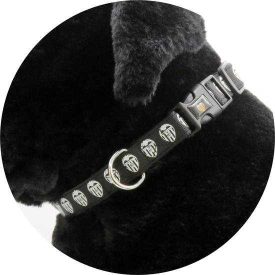 COLLAR PARA PERRO - TALLA M - VALENCIA image 3