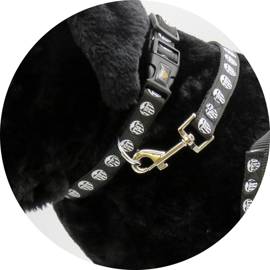 COLLAR PARA PERRO - TALLA M - VALENCIA image 4