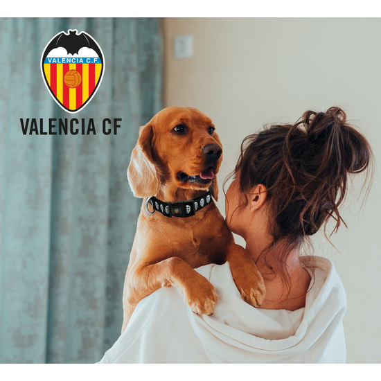 COLLAR PARA PERRO - TALLA M - VALENCIA image 5