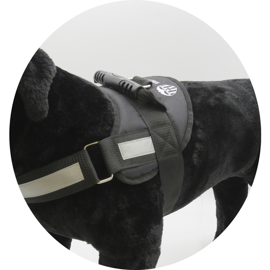 ARNÉS REFORZADO CON RELLENO PARA PERRO -TALLA S-M - VALENCIA image 4