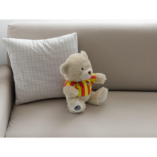 OSITO DE PELUCHE CON CAMISETA VALENCIA image 8