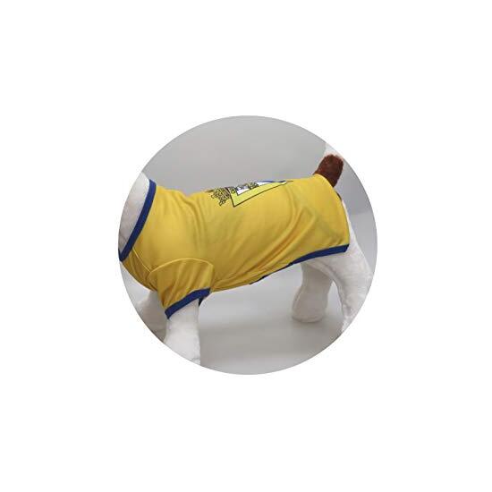 CÁDIZ CAMISETA PARA PERRO  TALLA XXS image 3