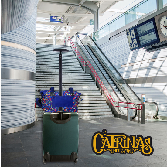 BOLSO CON LATERALES AMPLIABLES CATRINAS - MATILDA image 6