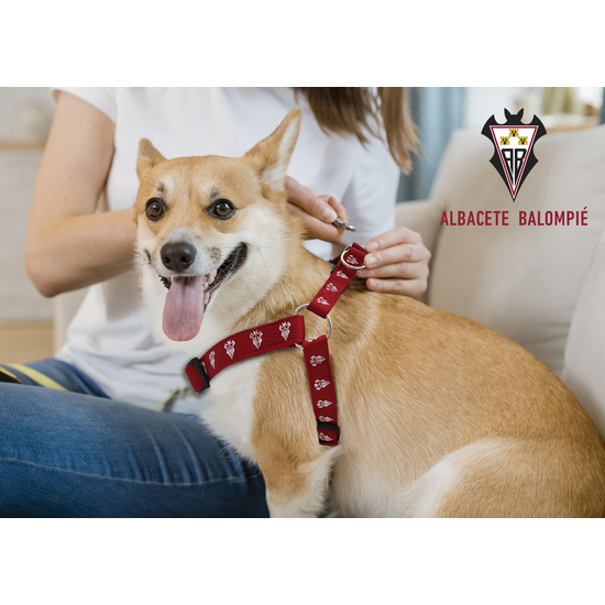 ALBACETE BALOMPIÉ ARNÉS PARA PERRO - TALLA L image 3