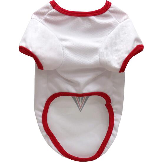 ALBACETE BALOMPIÉ CAMISETA PARA PERRO - TALLA XXS image 1