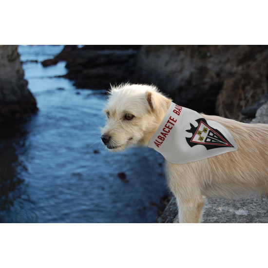 ALBACETE BALOMPIÉ BANDANA PARA PERRO image 3