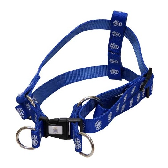 RECREATIVO DE HUELVA ARNÉS PARA PERRO TALLA M image 0