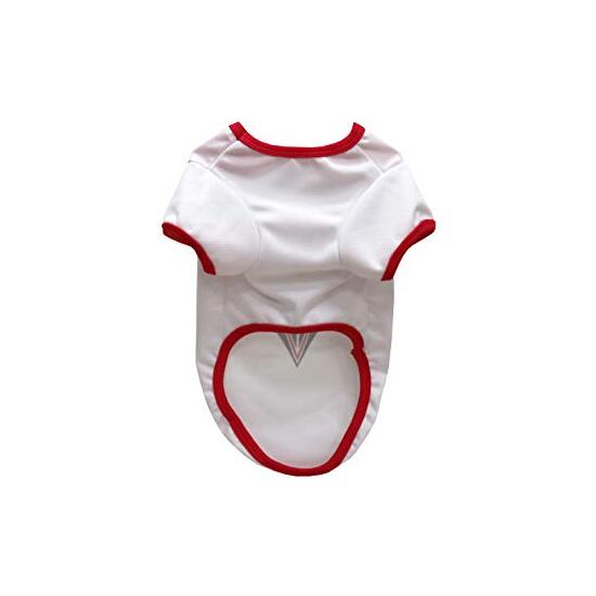 ALBACETE BALOMPIÉ CAMISETA PARA PERRO - TALLA L image 2