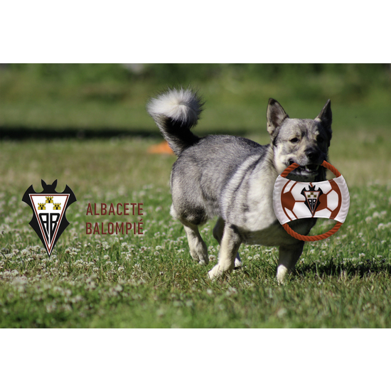 ALBACETE BALOMPIÉ JUGUETE DE CUERDA PARA PERRO image 4