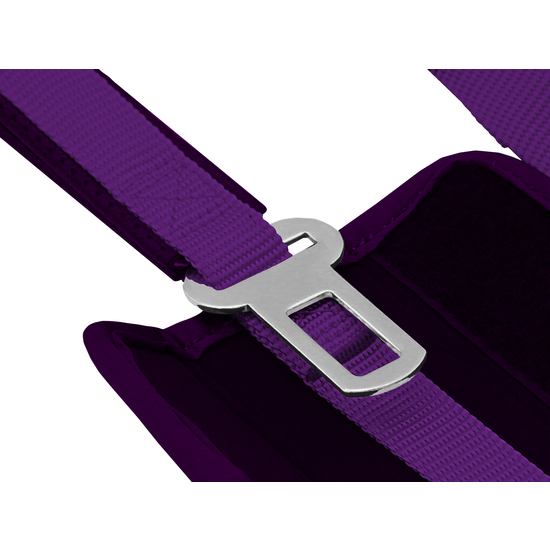 REAL VALLADOLID CORREA PARA PERRO - TALLA L image 3