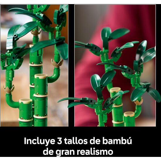BAMBU DE LA SUERTE LEGO BOTANICALS image 5