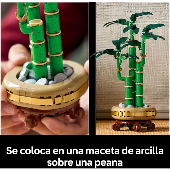 BAMBU DE LA SUERTE LEGO BOTANICALS image 6