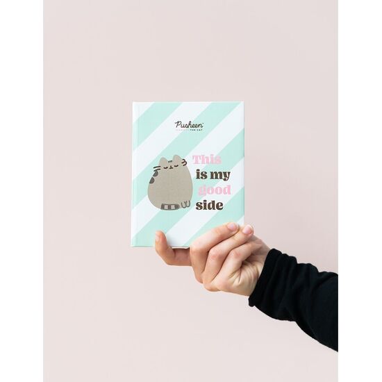 ALBUM DE FOTOS PUSHEEN image 3