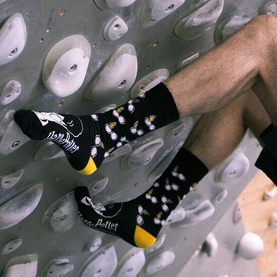CALCETINES HARRY POTTER ADULTO image 1