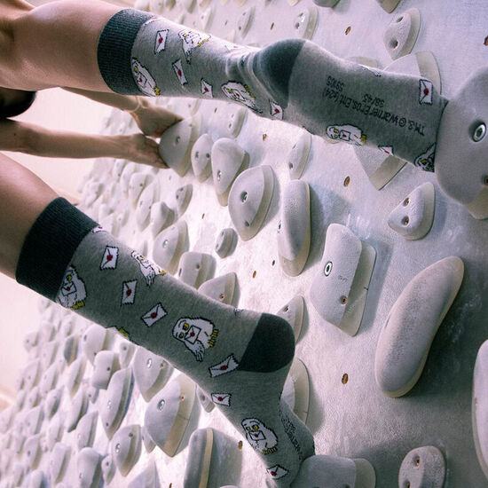 CALCETINES HARRY POTTER ADULTO image 1