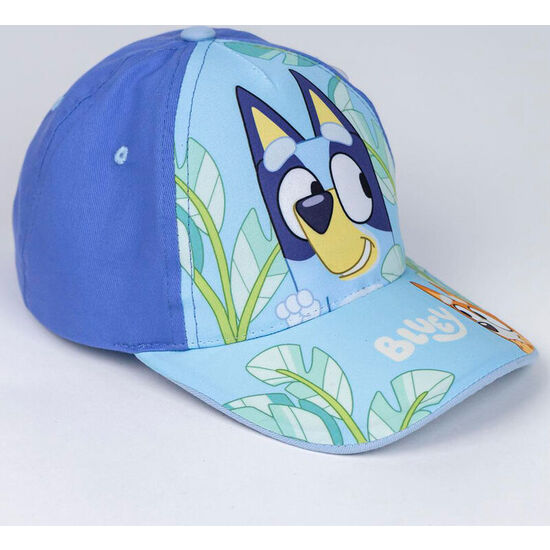 GORRA BLUEY SURTIDO image 1