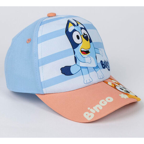 SET GORRA + GAFAS SOL BLUEY image 1